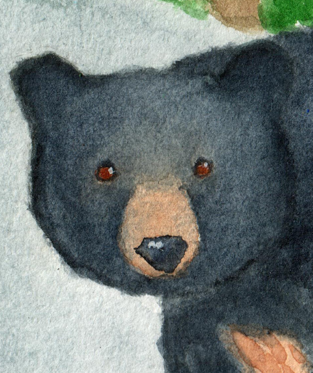 Black Bear | Ganderful