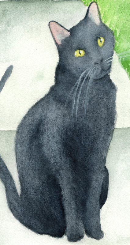 Black Cat | Ganderful