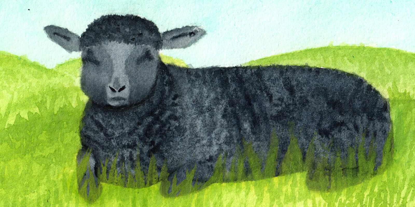 Black Sheep | Ganderful