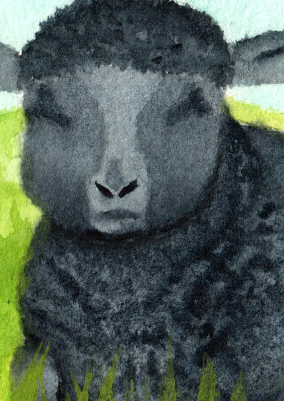 Black Sheep | Ganderful